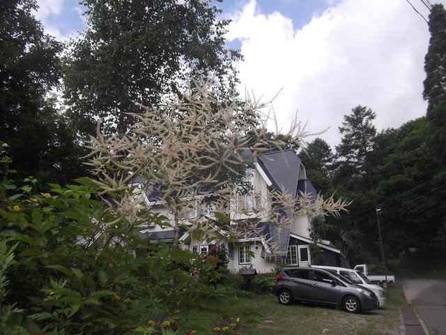 DSCF3070.JPG