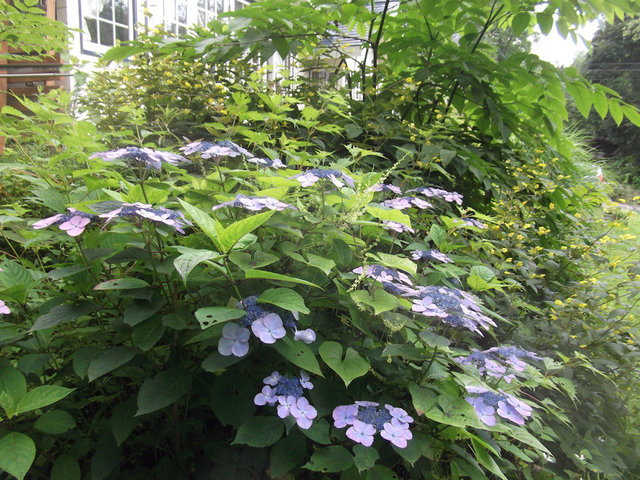 DSCF3066.JPG