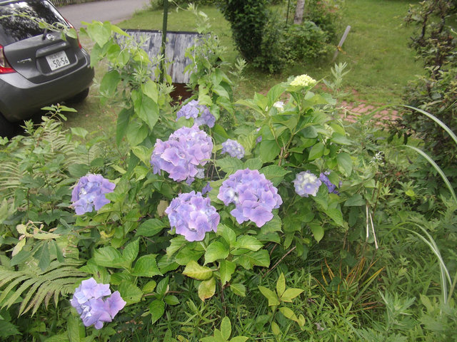 DSCF3053.JPG