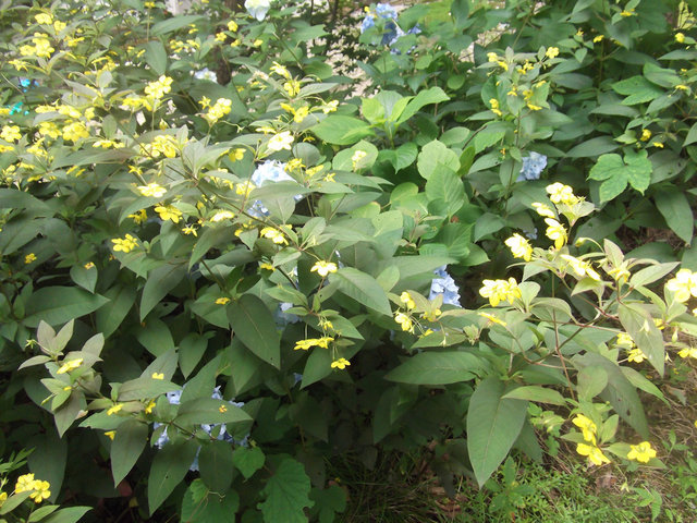 DSCF3060.JPG