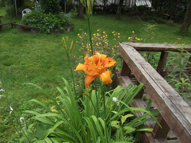 DSCF3064.JPG