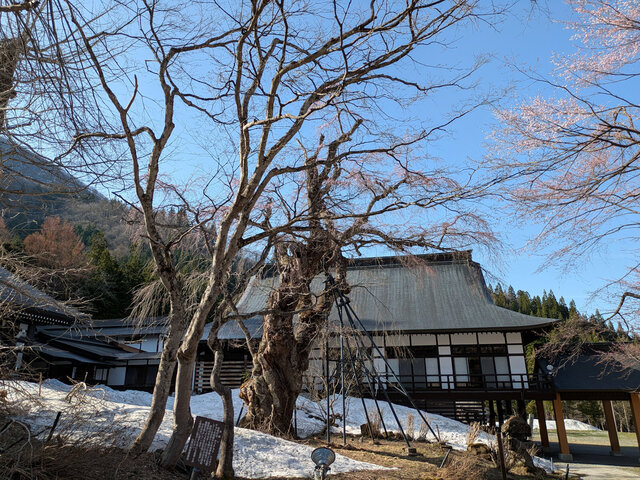 250422貞.jpg