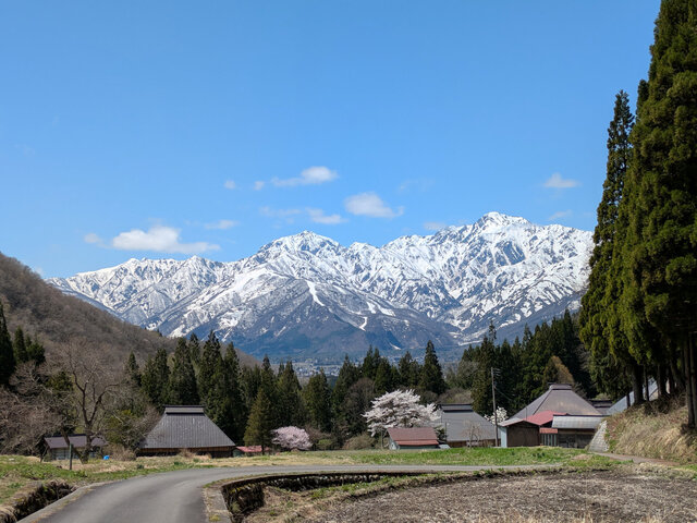 250424青鬼4.jpg